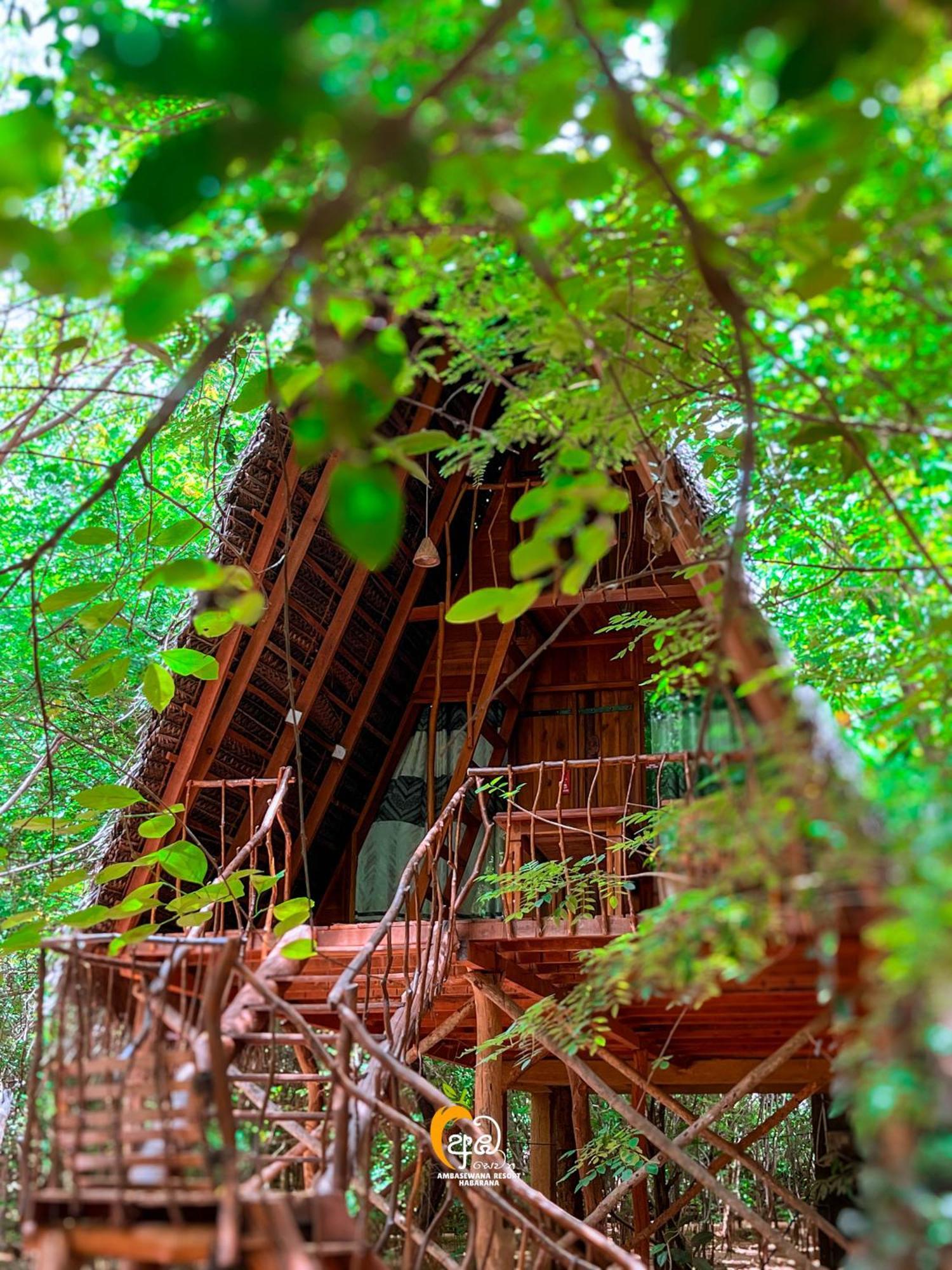 Habarana Tree House Ambasewana Resort المظهر الخارجي الصورة