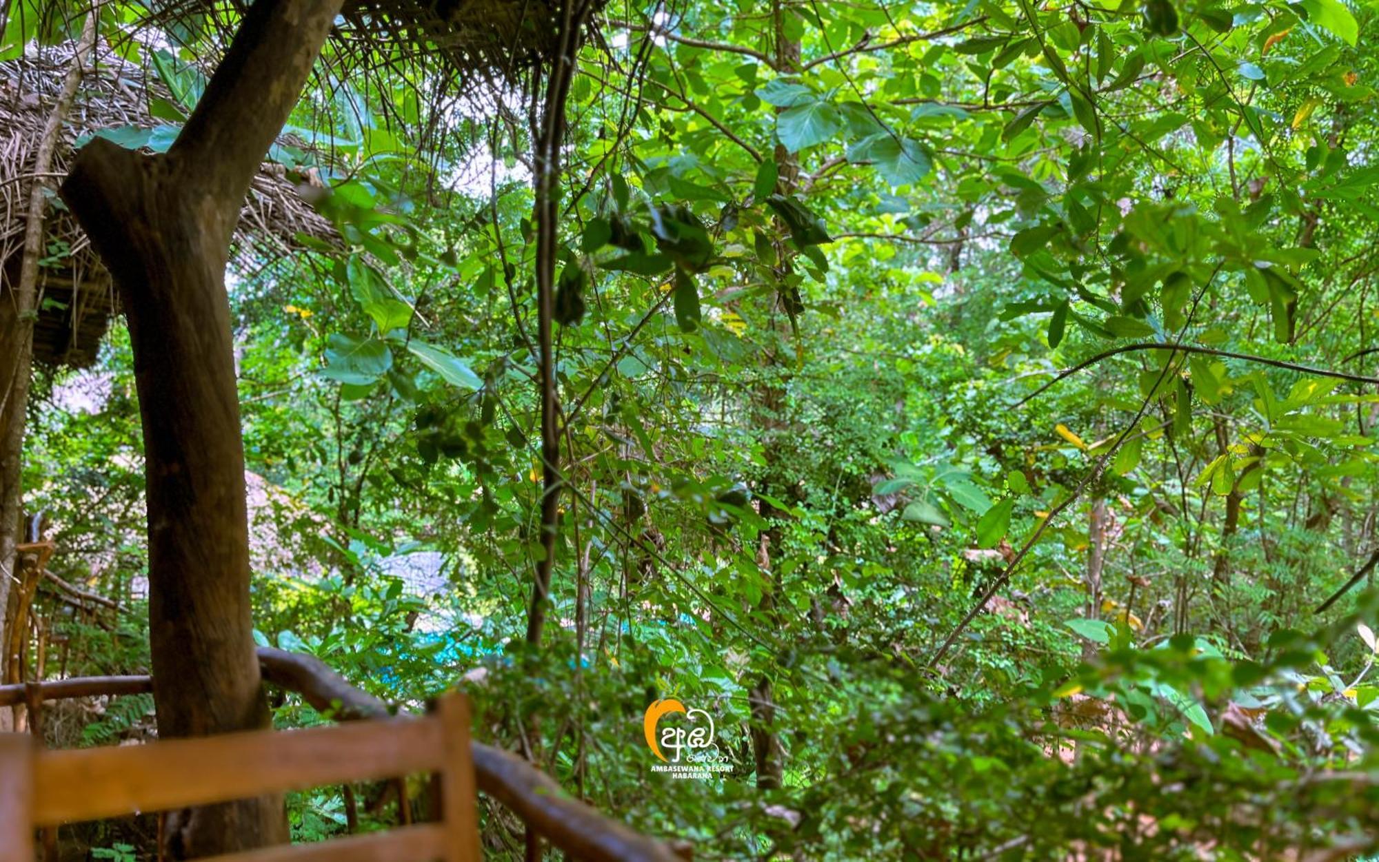 Habarana Tree House Ambasewana Resort المظهر الخارجي الصورة