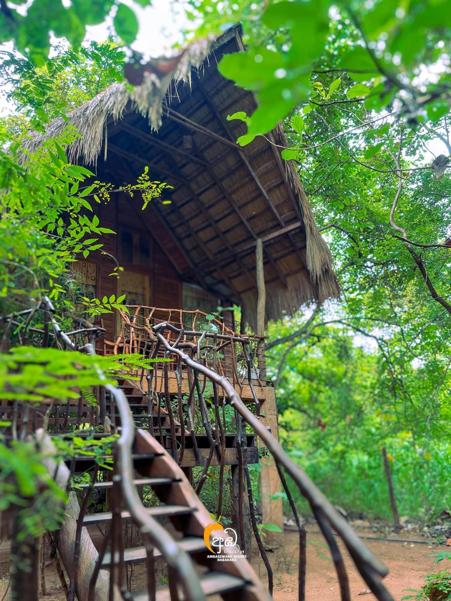 Habarana Tree House Ambasewana Resort المظهر الخارجي الصورة