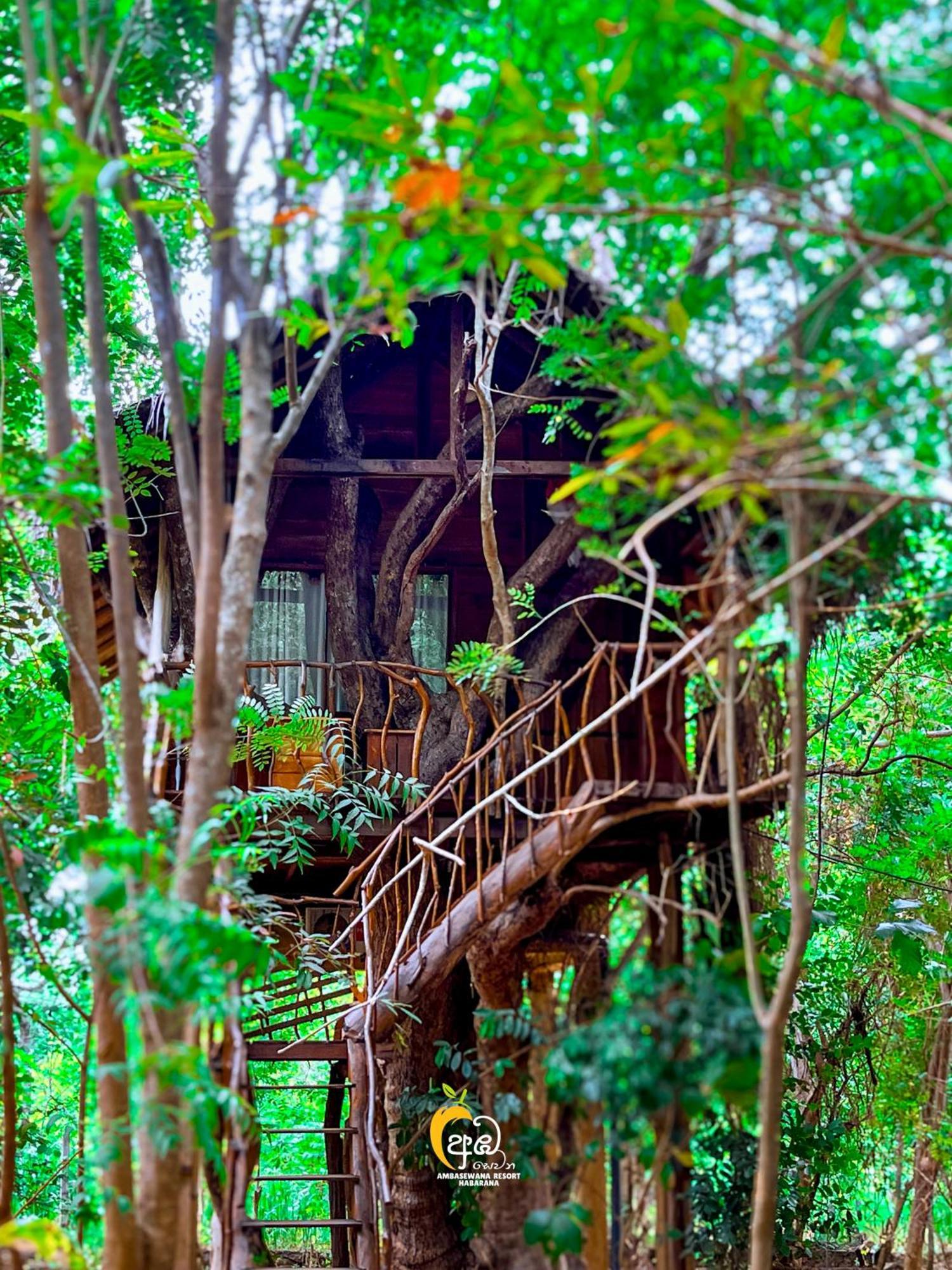 Habarana Tree House Ambasewana Resort المظهر الخارجي الصورة